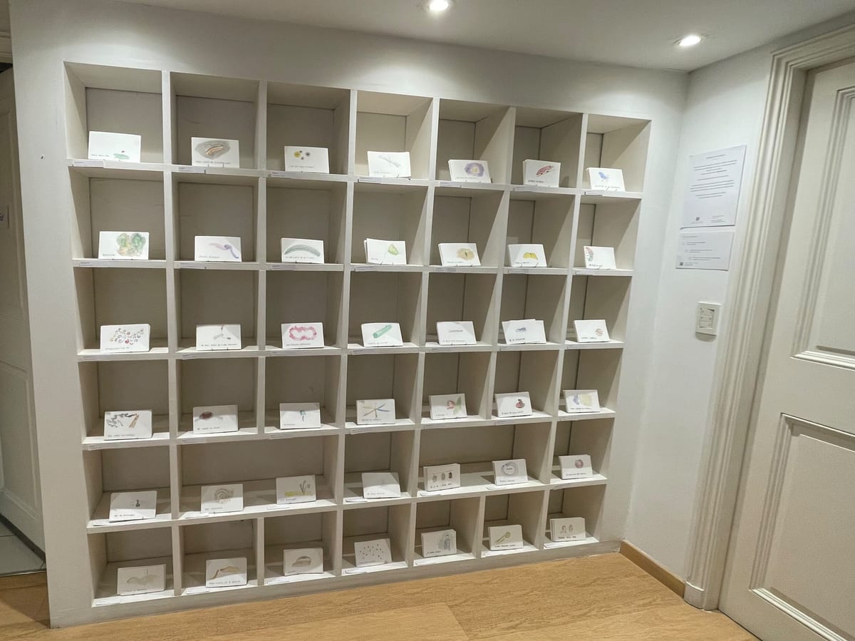 Percepciones, instalación efímera presentada durante la inauguración. Acuarelas y frases surgidas de cerca de dos años de conversaciones.