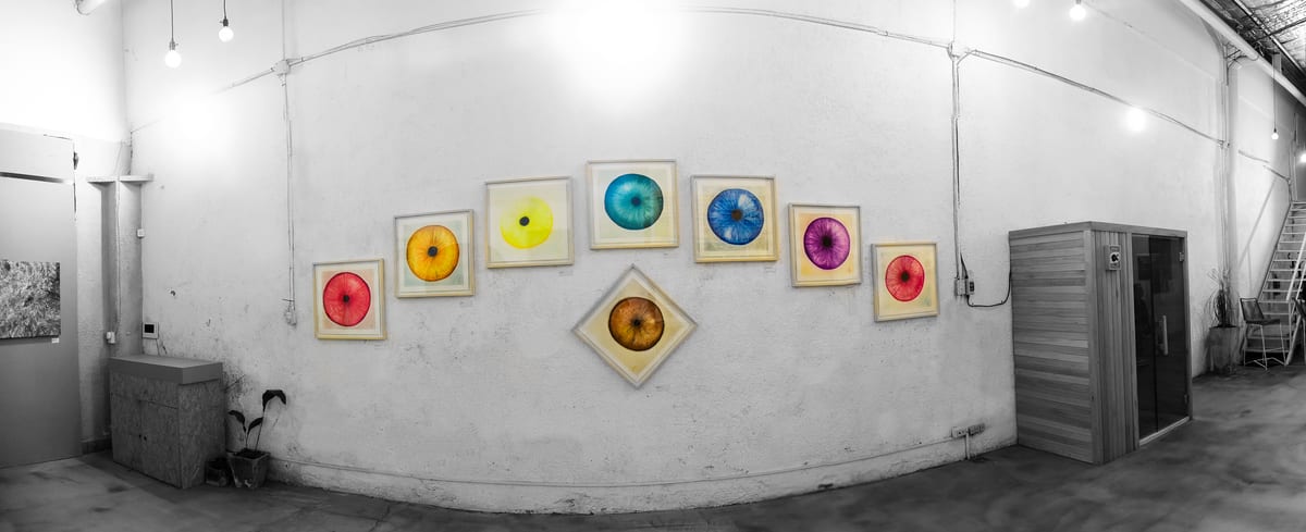 La serie Acecho, pastel tiza sobre papel.