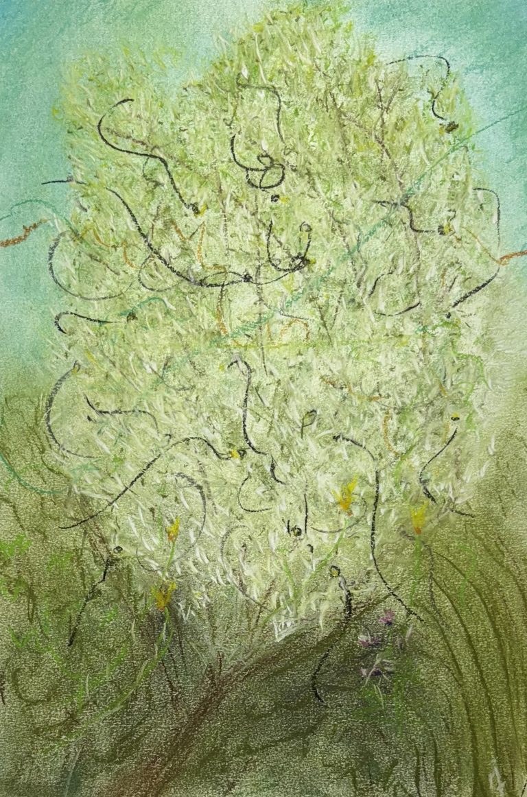 Aromas - Pastel tiza sobre papel (2025)