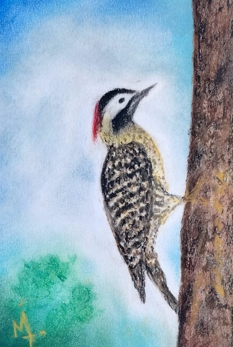 Despierta - Pastel tiza sobre papel (2024)